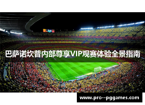 巴萨诺坎普内部尊享VIP观赛体验全景指南