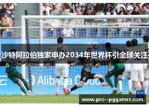 沙特阿拉伯独家申办2034年世界杯引全球关注 沙特阿拉伯独家申办2034年世界杯引全球关注