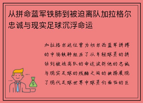 从拼命蓝军铁肺到被迫离队加拉格尔忠诚与现实足球沉浮命运 从拼命蓝军铁肺到被迫离队加拉格尔忠诚与现实足球沉浮命运